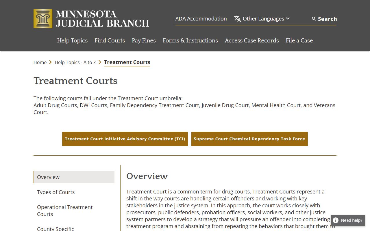 District court Minnesota treatment courts